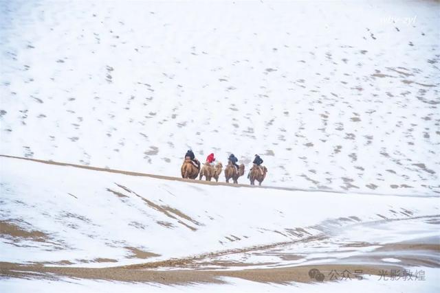 大漠敦煌2025年初冬雪景美如画