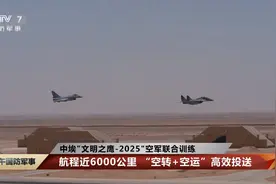 亮剑中东！中国空军大批军机抵埃及，跨越6000公里，参加联合军演图片