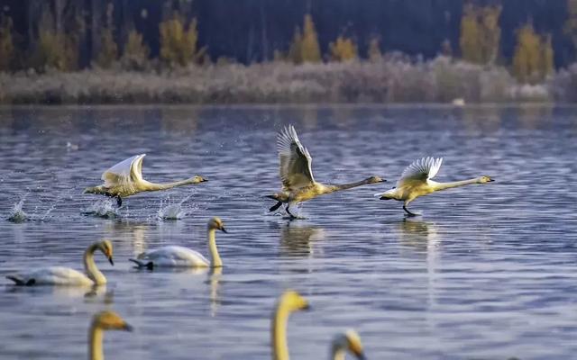 免费！玩转运城冬日绝美风光！