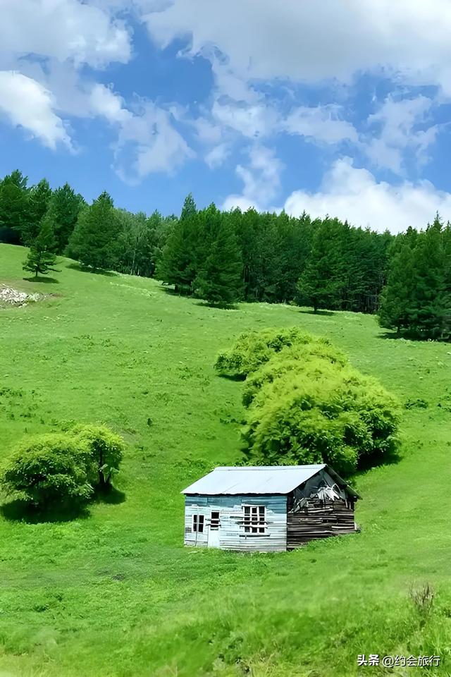 为啥有人说阿尔山森林公园是体验最“差”的景区？不会去第二次？