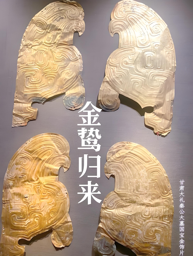甘肃挖出“比兵马俑还震撼”的祖坟，专家：终于找到大秦帝国的根