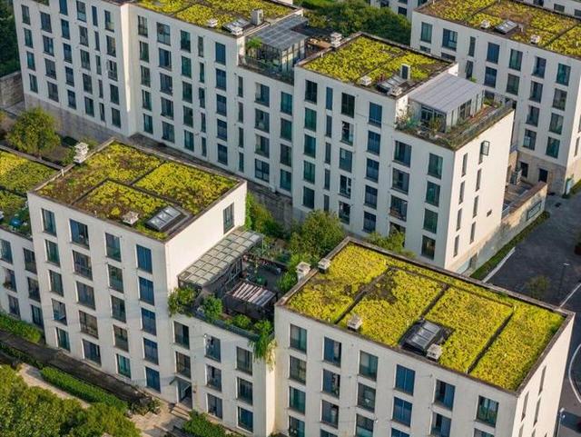 全球超过一半的人都住在城市！怎么样才能让城市住得更舒服呢？