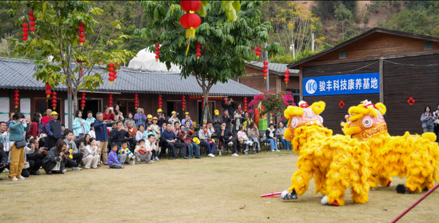 请到云浮过大年，交出亮眼成绩单
