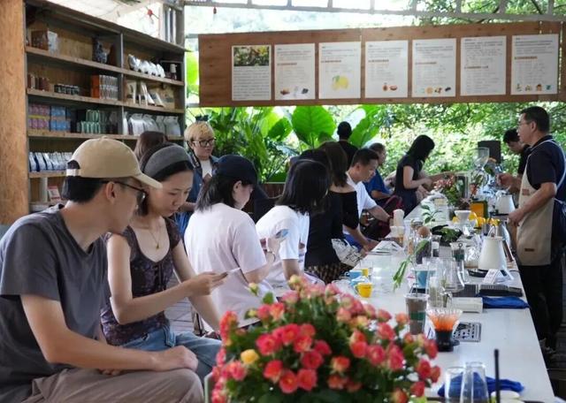 美团旅行2025国庆假期观察：普洱上榜酒店预订增幅Top10目的地