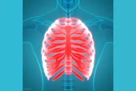 肋骨下面疼是胃疼吗图片