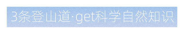光明这个公园，原来这么好逛！