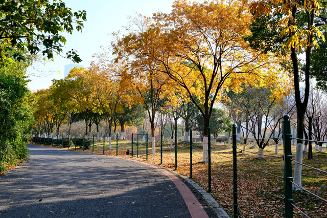 超出片！江阴这些地方“红了”！