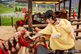 出片率100%！主打生态观光+红色研学～东北亚云端草原开园图片