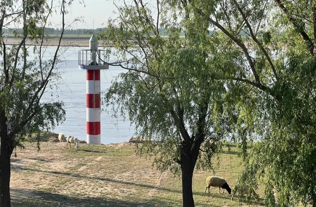 我是杭州人，从山东东明县回来，有3个疑惑萦绕心头。