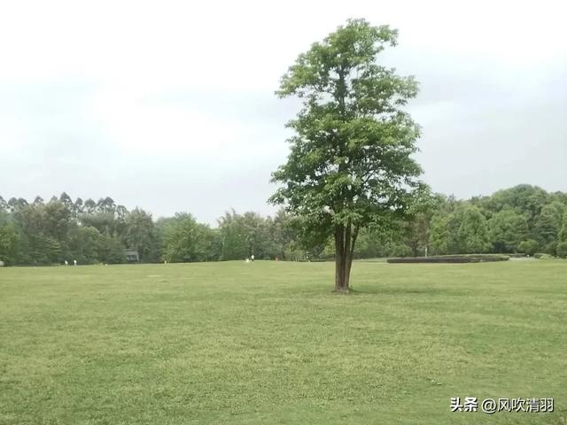 成都一个低调4A级森林公园,有240多年历史,都市人的“后花园”