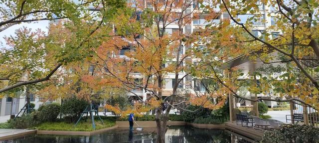 寻美薛城丨这里风景独好！美景尽收眼底，凭“颜值”出圈的社区美景！