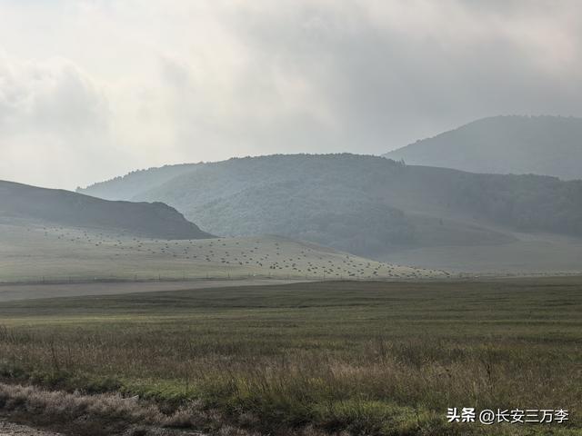 北上大草原第7站：入住贡格尔草原深处