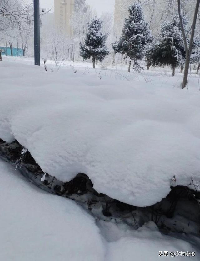 ❄️“今年大雪在清晨5点！老话‘上午大雪冰上走’准不准？	”