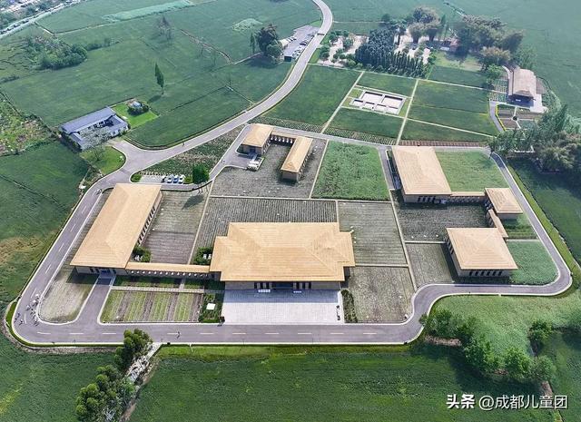 夏天一定要看一次稻田！这4处可看，还能喝下午茶逛博物馆