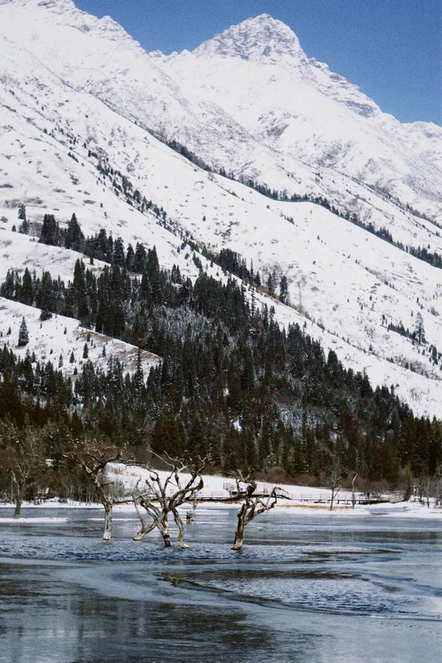 可惜你不爬雪山，不知道天河路的含金量！