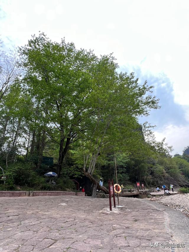 武夷山，其标志性的景点即玉女峰，也是福建省的地标
