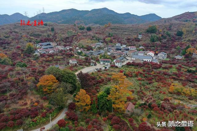 四明山脉的精华，四明山镇，全域皆风景