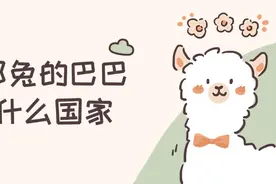 那年那兔的巴巴羊是什么国家,为什么叫巴巴羊？图片