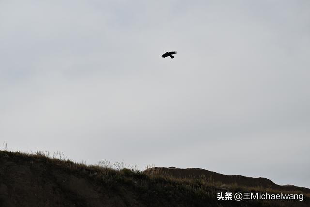 古意秋风三万里（D11）-从中卫市到古浪县