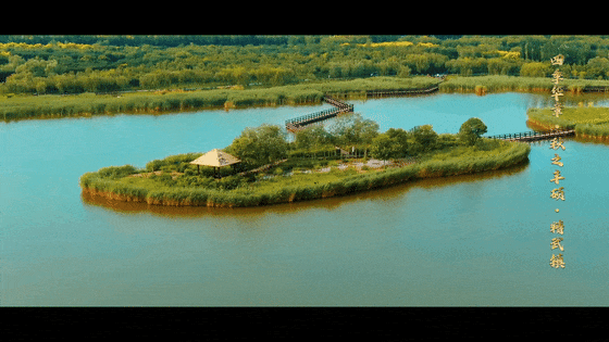 秋之丰硕·精武镇的秋韵，谁能不爱？