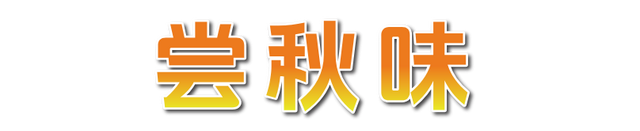 秋日限定美景，还不赶紧来拍？