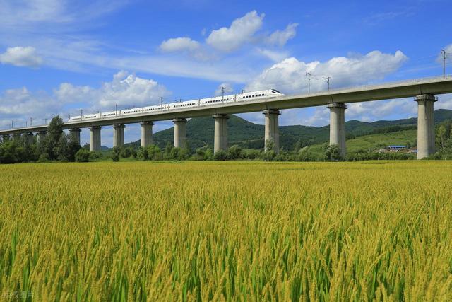 中国高铁为何不走平地，要花每公里1.74亿修高架？走桥有啥好处？
