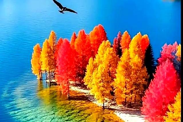 心理学家：出门后反复检查门锁！其实是一种精神异常