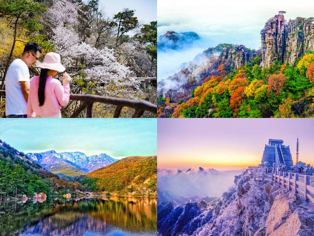 2026“马”年免费福利、吃临沂炒鸡送门票、年卡……千万别错过！