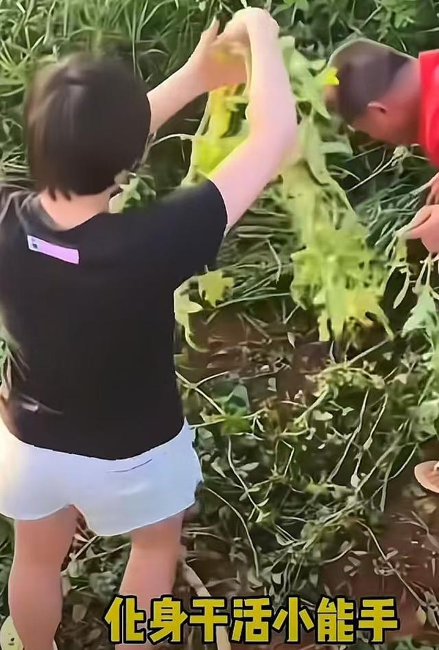 全红婵即将读大学，分享多张照片心情愉悦，她和陈芋汐差距拉开了