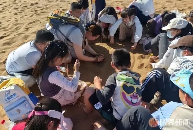 把世界当作课堂 一场优质研学如何炼成？