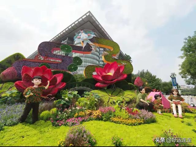 纪念抗战胜利80周年主题花坛亮相长安街，用鲜花诉说家国记忆
