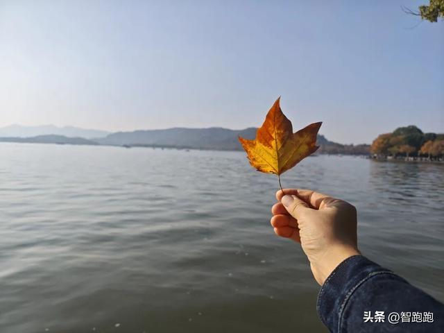 2025 杭州西湖 City Walk 留下足迹