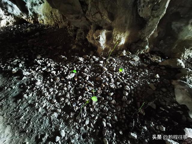 老人岩与磨刀岩：走过万仞崖壁之间不足一尺宽的险峻小道