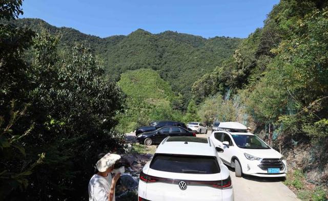 “富阳曼哈顿”！又一个打卡地突然火了