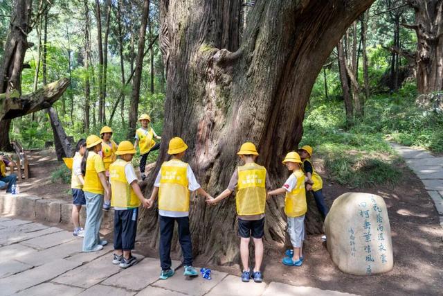 秋假冲剑阁！带娃解锁古道雄关里的“嗨玩密码”
