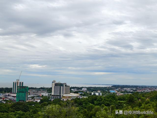 马来西亚(33)砂拉越州⑦美里市加拿大山、海滨公园等