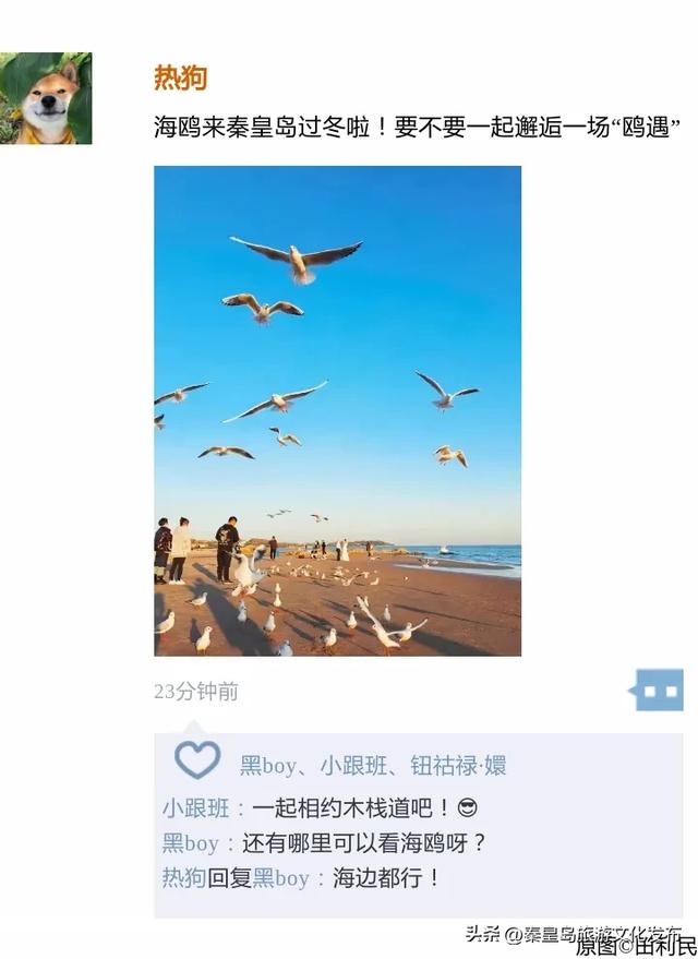 初冬,秦皇岛进入“高光时刻”!最美景致就藏在朋友圈里~