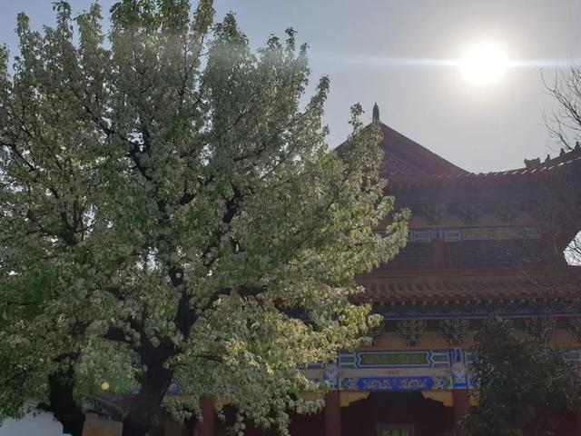 来泌阳罗汉山吧！品天地雄浑之美……