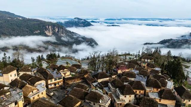 周年限定！快来阿者科当一天“哈尼公主”