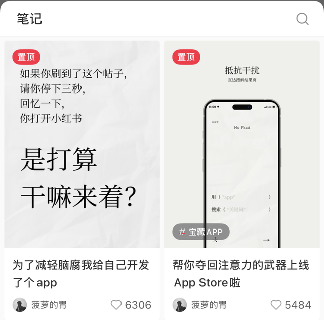 她能做出爆款App，却没有进入大厂的资格