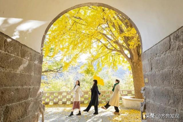 崂山赏秋攻略出炉！快收藏！（内附赏秋地图）