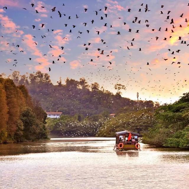 放假了，跟着语文书去打卡顶流景点吧！