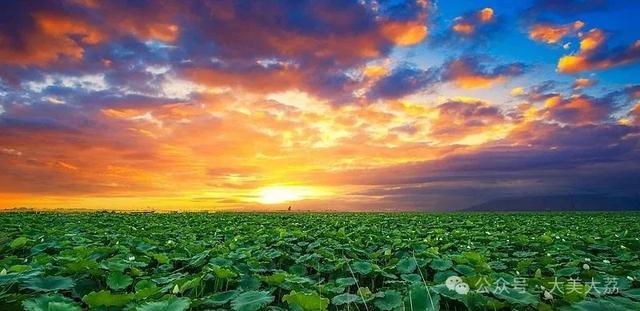 大荔黄河湿地