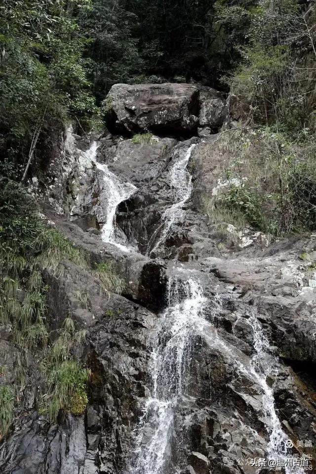 远上乌岩岭上斜,白云生处白云尖!温州这处秋日美景值得一去!