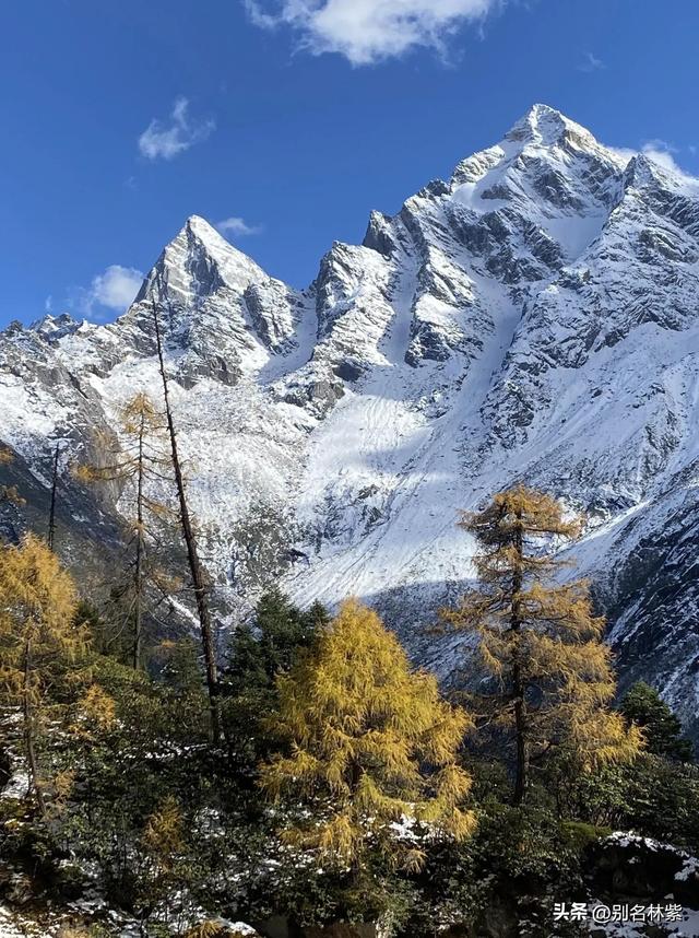 川西公共交通自由行，如何前往毕棚沟，吃住行游玩攻略，建议收藏