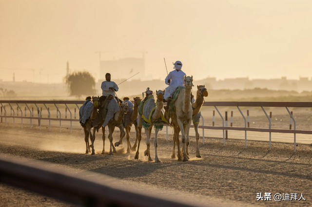 石油时代前的阿联酋｜在璀璨摩天楼之前，这里曾以珍珠之光闪耀