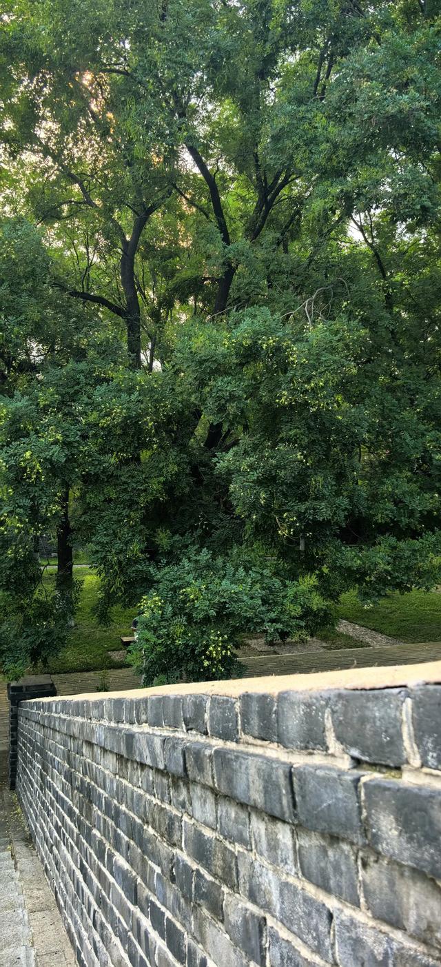 岱宗夫如何: 从前有座山