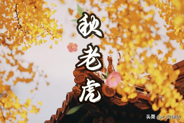 明日立秋，今年立秋不一般，立秋后还要热多久？有“秋老虎”吗？