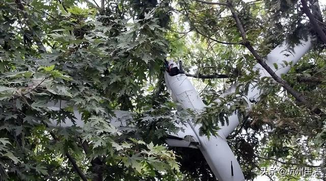 尹锡悦的首次量刑，出乎所有人的意料，李在明最后关头网开一面？