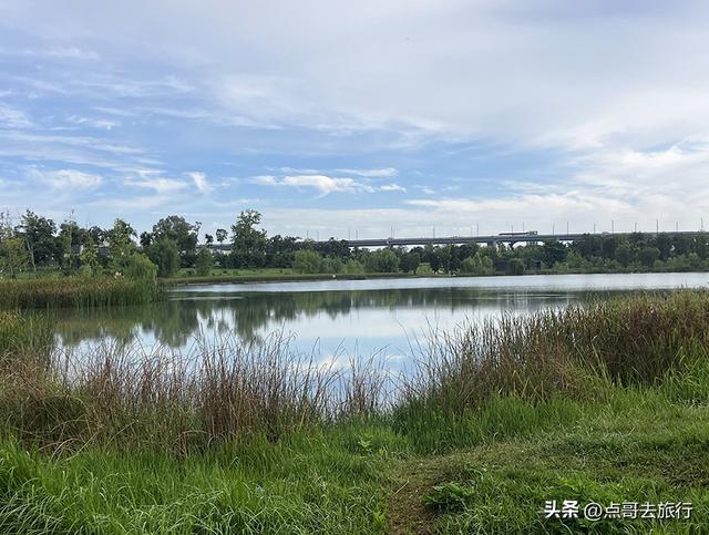 成都最近的原野公园，超级惊艳，一个湖风景就是王者，公交直达！